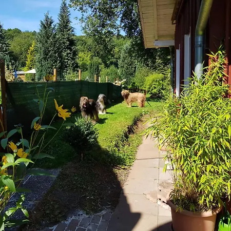 Blissful Holiday In Battenberg With Fenced Garden * Battenberg (Eder)